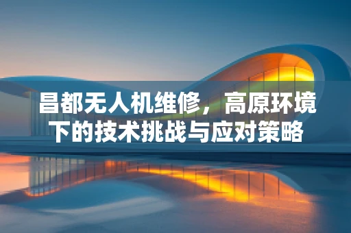 昌都无人机维修，高原环境下的技术挑战与应对策略