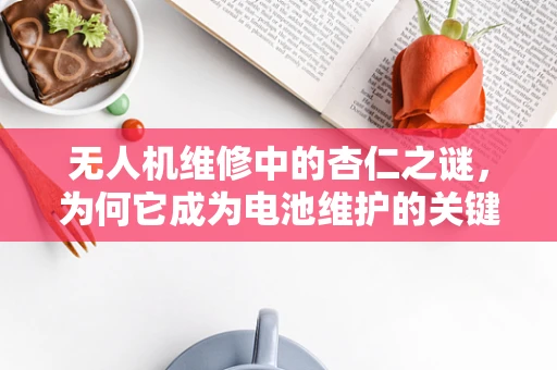 无人机维修中的杏仁之谜，为何它成为电池维护的关键词？