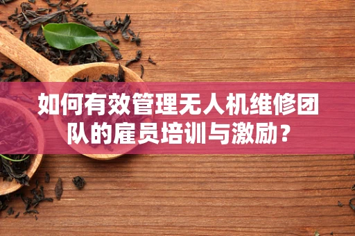 如何有效管理无人机维修团队的雇员培训与激励？