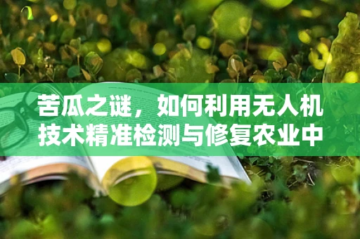 苦瓜之谜，如何利用无人机技术精准检测与修复农业中的‘隐形杀手’？