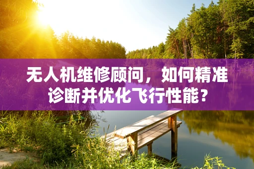 无人机维修顾问，如何精准诊断并优化飞行性能？