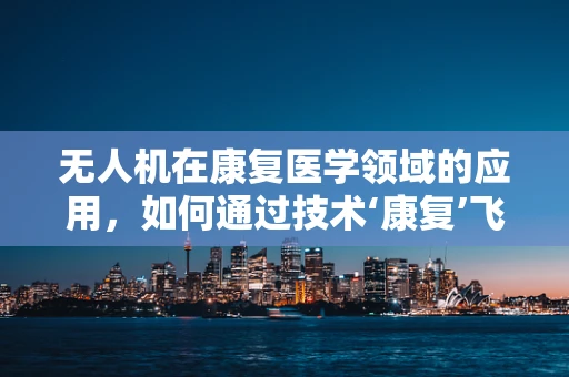无人机在康复医学领域的应用，如何通过技术‘康复’飞行设备？