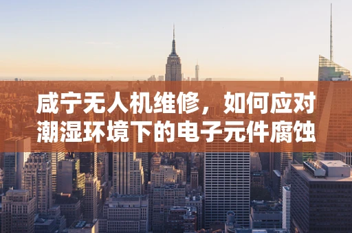 咸宁无人机维修，如何应对潮湿环境下的电子元件腐蚀问题？