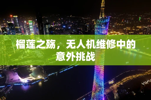 榴莲之殇，无人机维修中的意外挑战