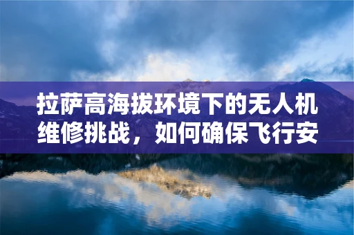 拉萨高海拔环境下的无人机维修挑战，如何确保飞行安全？