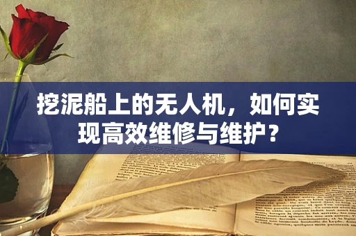 挖泥船上的无人机，如何实现高效维修与维护？