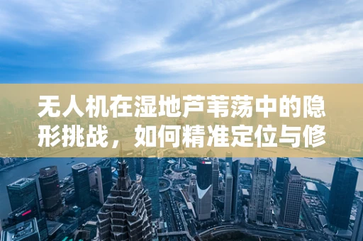 无人机在湿地芦苇荡中的隐形挑战，如何精准定位与修复？