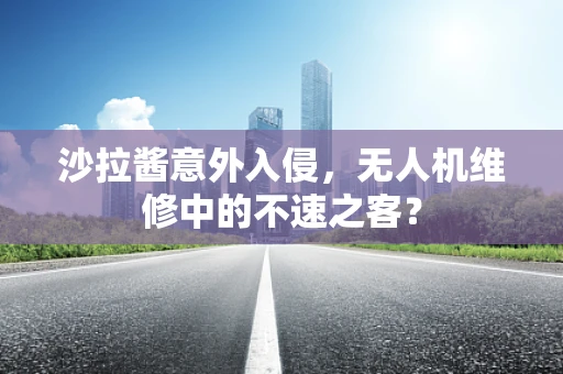 沙拉酱意外入侵，无人机维修中的不速之客？