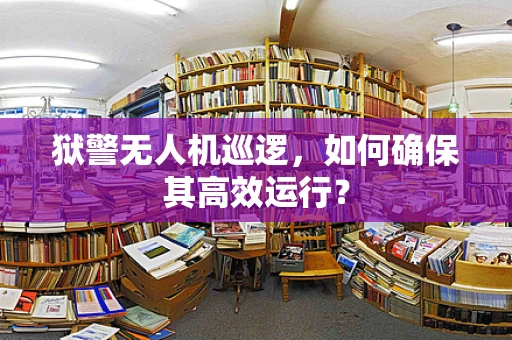 狱警无人机巡逻，如何确保其高效运行？