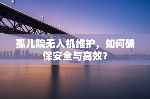 孤儿院无人机维护，如何确保安全与高效？