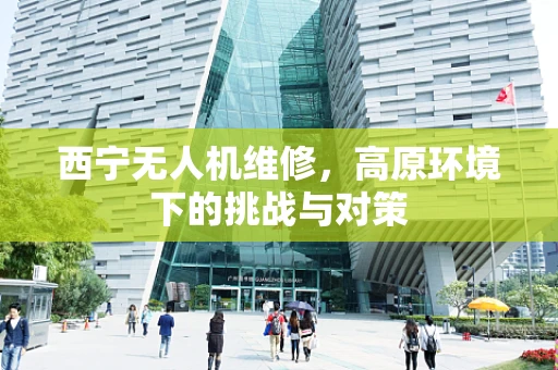 西宁无人机维修，高原环境下的挑战与对策