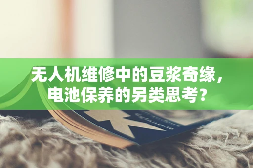 无人机维修中的豆浆奇缘，电池保养的另类思考？