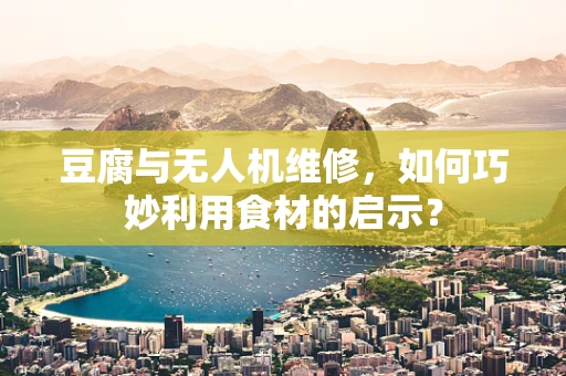 豆腐与无人机维修，如何巧妙利用食材的启示？