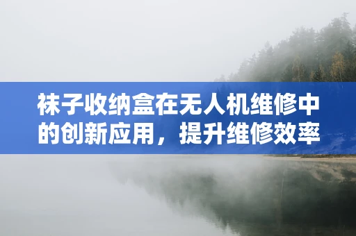 袜子收纳盒在无人机维修中的创新应用，提升维修效率的另类思路？