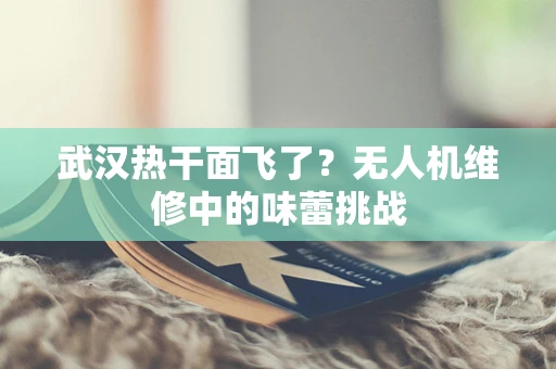武汉热干面飞了？无人机维修中的味蕾挑战