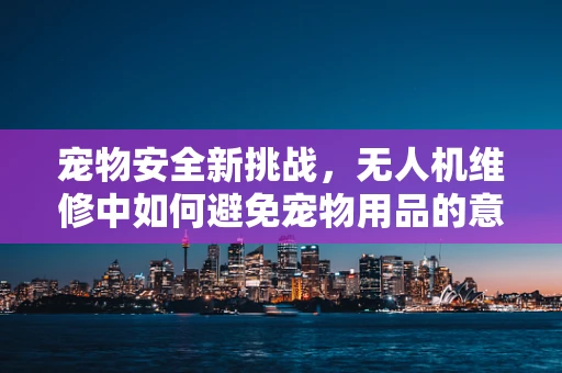 宠物安全新挑战，无人机维修中如何避免宠物用品的意外干扰？