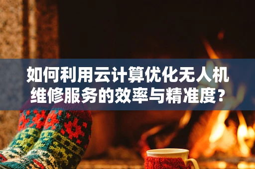如何利用云计算优化无人机维修服务的效率与精准度？