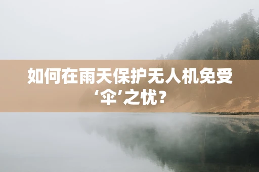 如何在雨天保护无人机免受‘伞’之忧？
