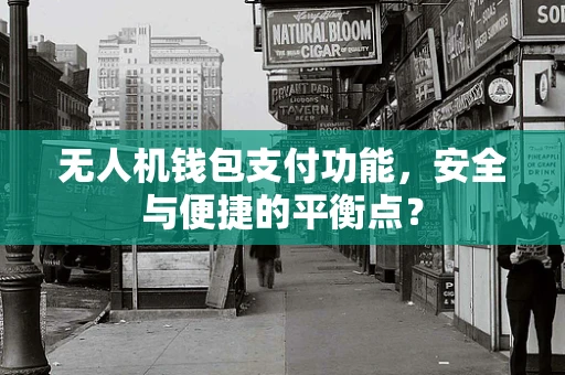 无人机钱包支付功能，安全与便捷的平衡点？