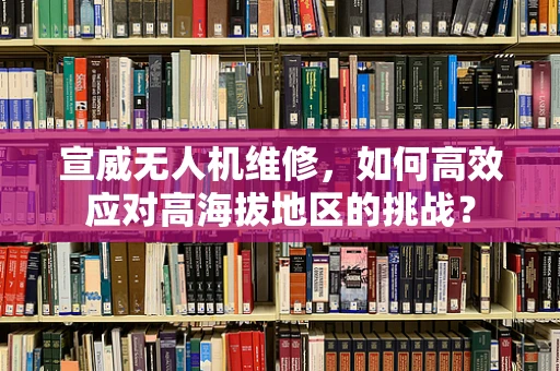 宣威无人机维修，如何高效应对高海拔地区的挑战？