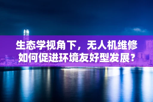 生态学视角下，无人机维修如何促进环境友好型发展？