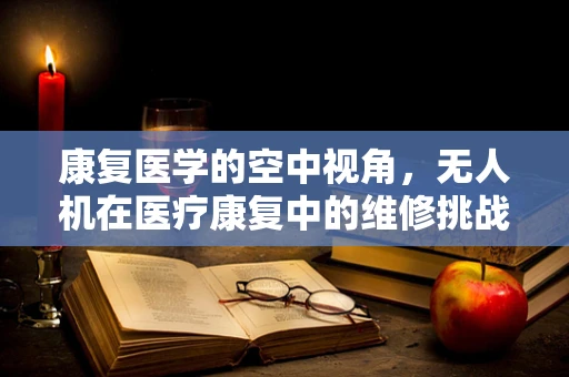 康复医学的空中视角，无人机在医疗康复中的维修挑战与机遇