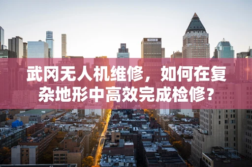 武冈无人机维修，如何在复杂地形中高效完成检修？