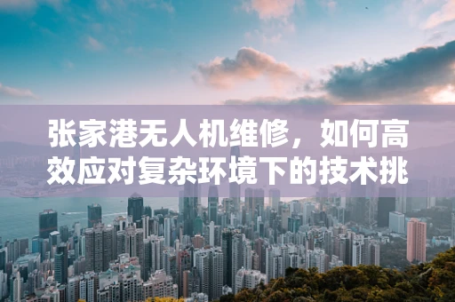张家港无人机维修，如何高效应对复杂环境下的技术挑战？