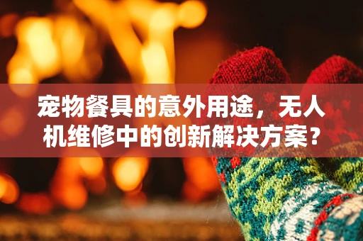 宠物餐具的意外用途，无人机维修中的创新解决方案？