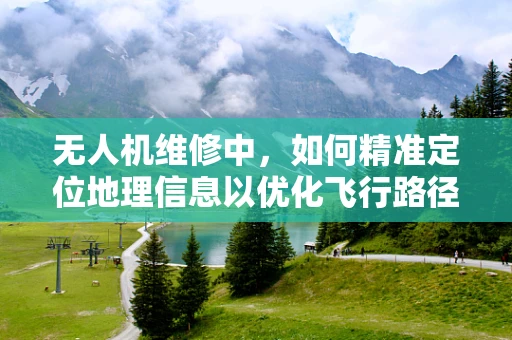 无人机维修中，如何精准定位地理信息以优化飞行路径？
