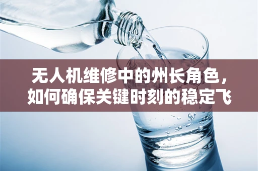 无人机维修中的州长角色，如何确保关键时刻的稳定飞行？