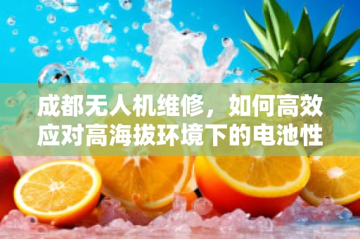 成都无人机维修，如何高效应对高海拔环境下的电池性能挑战？