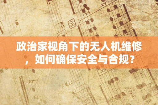 政治家视角下的无人机维修，如何确保安全与合规？