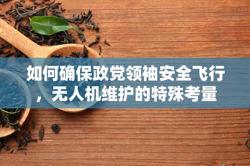 如何确保政党领袖安全飞行，无人机维护的特殊考量