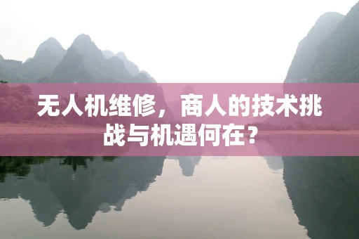 无人机维修，商人的技术挑战与机遇何在？