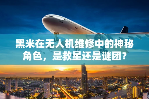 黑米在无人机维修中的神秘角色，是救星还是谜团？