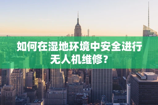 如何在湿地环境中安全进行无人机维修？