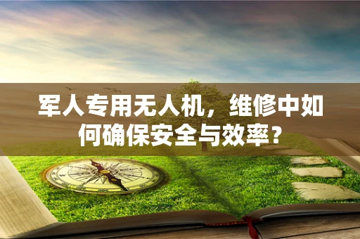 军人专用无人机，维修中如何确保安全与效率？
