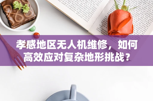 孝感地区无人机维修，如何高效应对复杂地形挑战？
