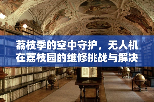荔枝季的空中守护，无人机在荔枝园的维修挑战与解决方案