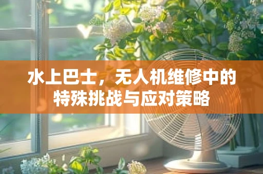 水上巴士，无人机维修中的特殊挑战与应对策略