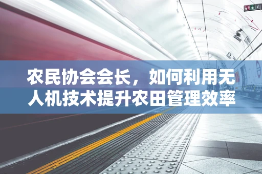 农民协会会长，如何利用无人机技术提升农田管理效率？