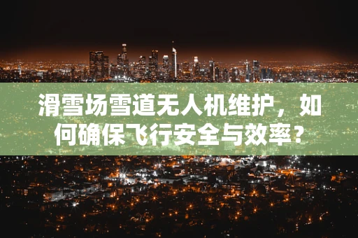 滑雪场雪道无人机维护，如何确保飞行安全与效率？