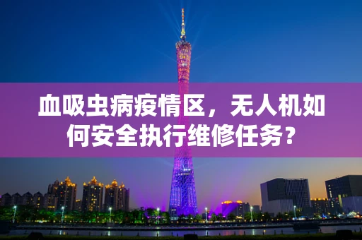 血吸虫病疫情区，无人机如何安全执行维修任务？