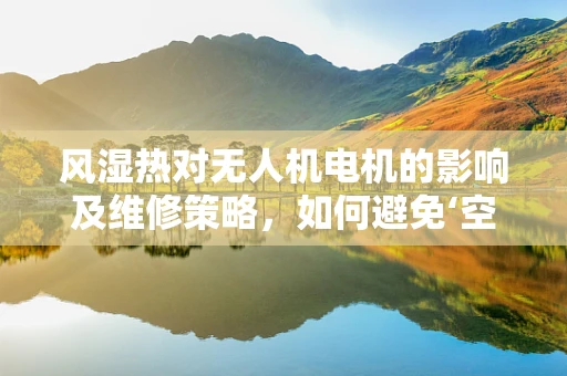 风湿热对无人机电机的影响及维修策略，如何避免‘空中隐形杀手’？