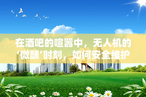 在酒吧的喧嚣中，无人机的‘微醺’时刻，如何安全维护？