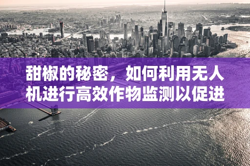 甜椒的秘密，如何利用无人机进行高效作物监测以促进精准农业？