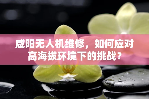 咸阳无人机维修，如何应对高海拔环境下的挑战？