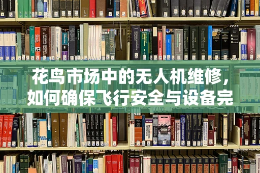 花鸟市场中的无人机维修，如何确保飞行安全与设备完好？