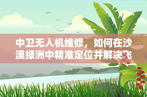 中卫无人机维修，如何在沙漠绿洲中精准定位并解决飞行器故障？